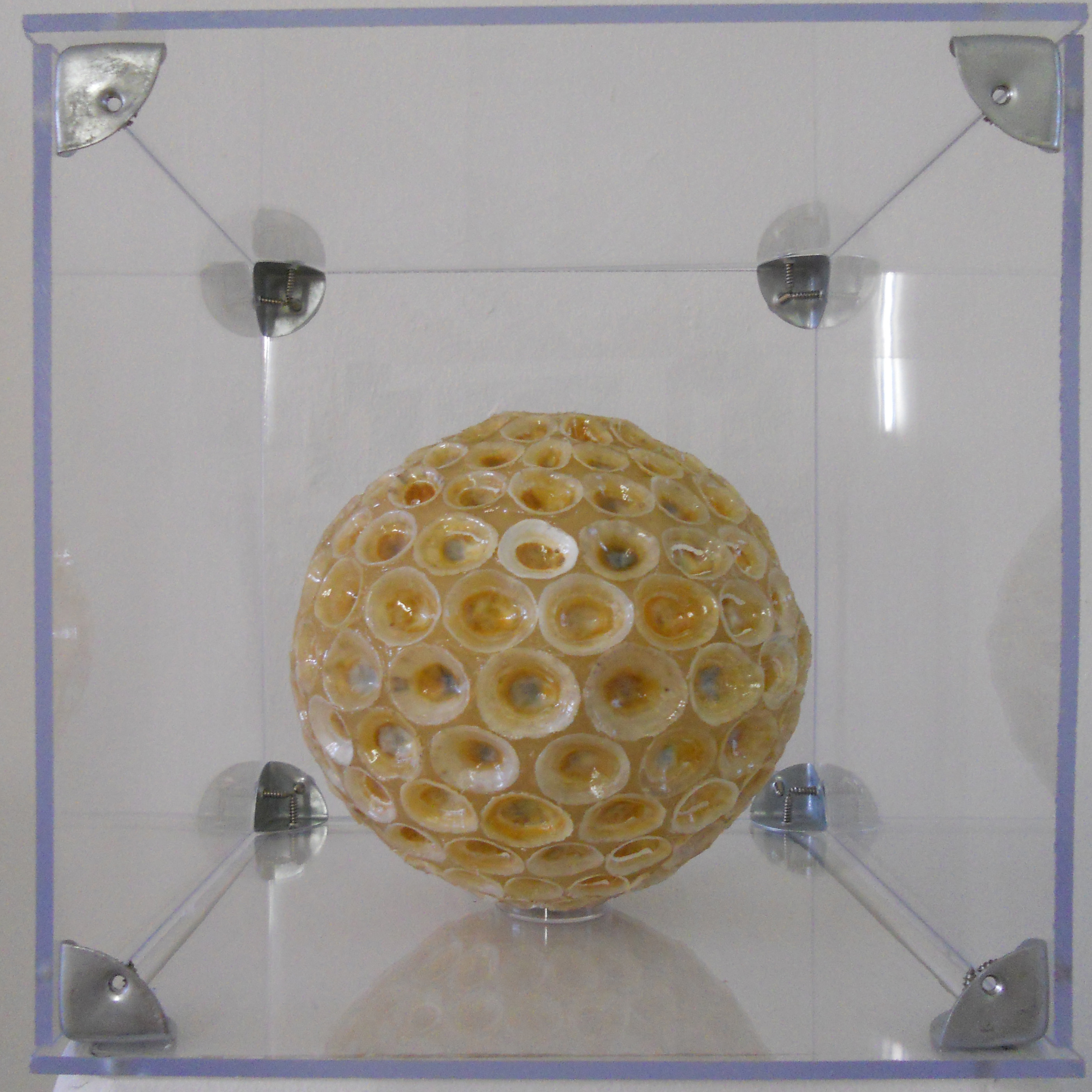 MW 07 (Hohe Aufl&ouml;sung)